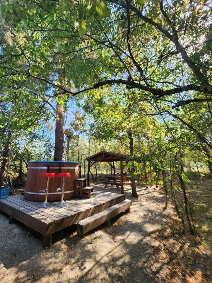  Дом A-frame в окружении леса.