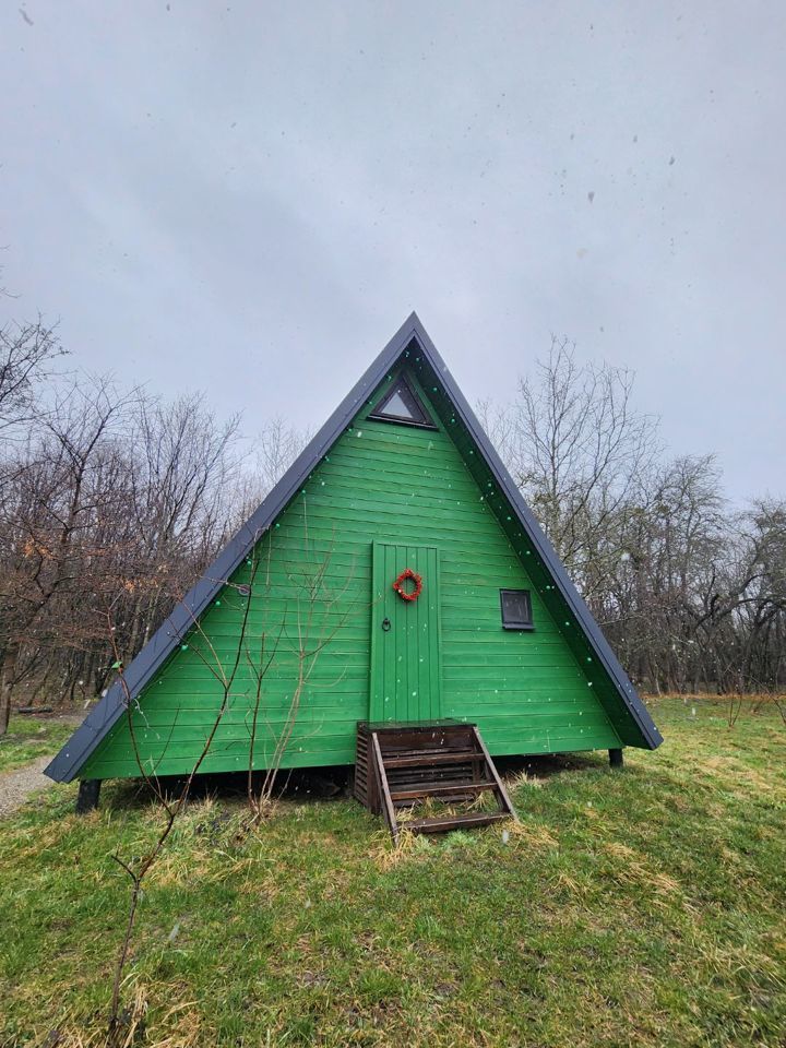  Дом A-frame в окружении леса.