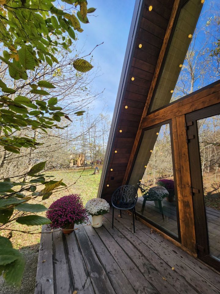  Дом A-frame в окружении леса.