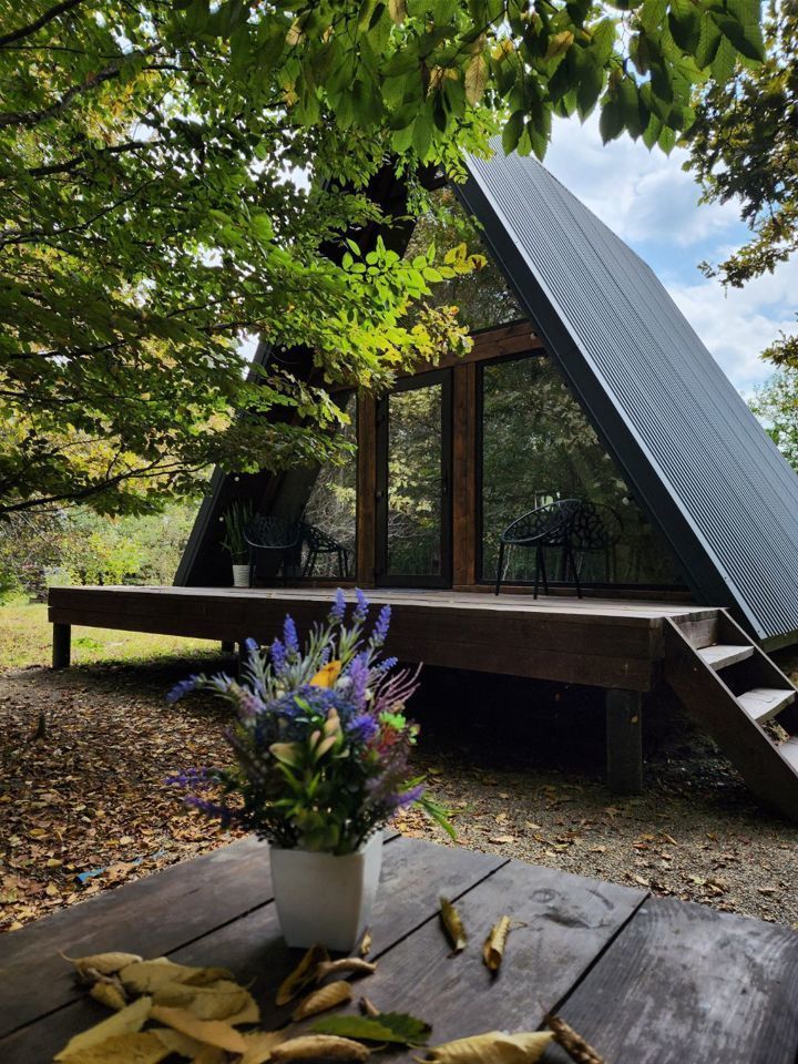 Дом A-frame в окружении леса.
