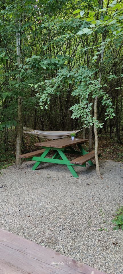 Дом A-frame в окружении леса.