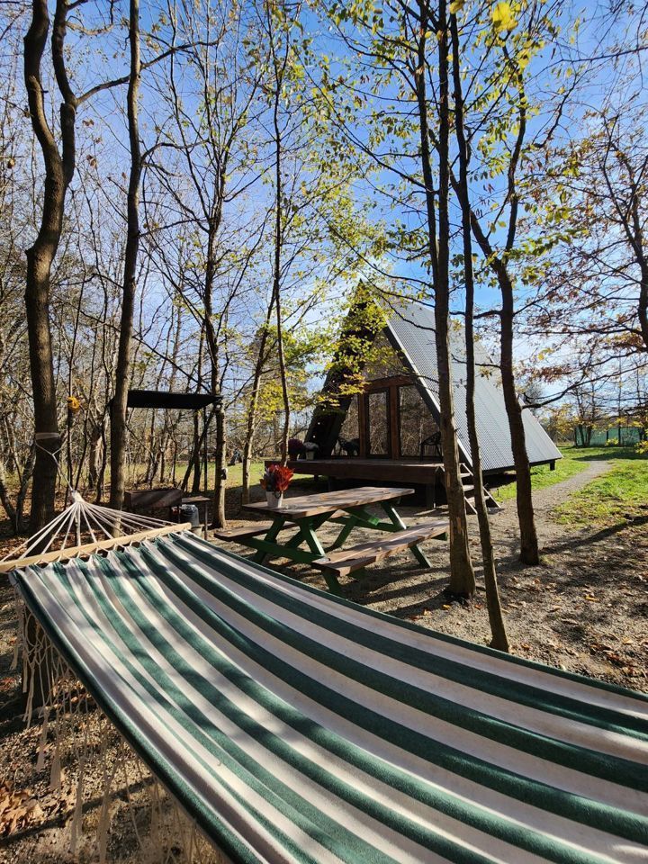  Дом A-frame в окружении леса.