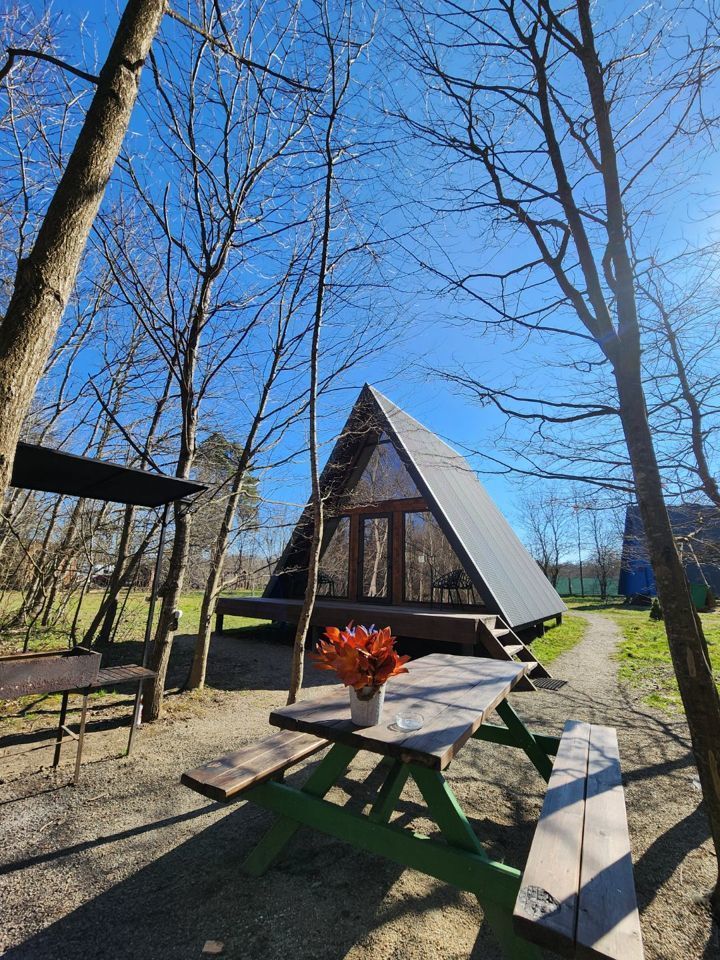  Дом A-frame в окружении леса.