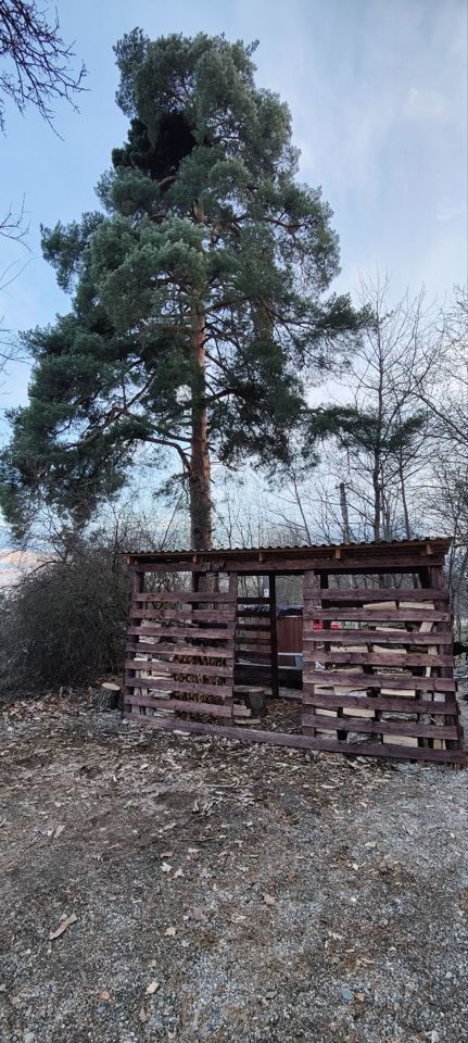  Дом A-frame в окружении леса.